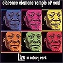 Clarence Clemons - Temple of Soul